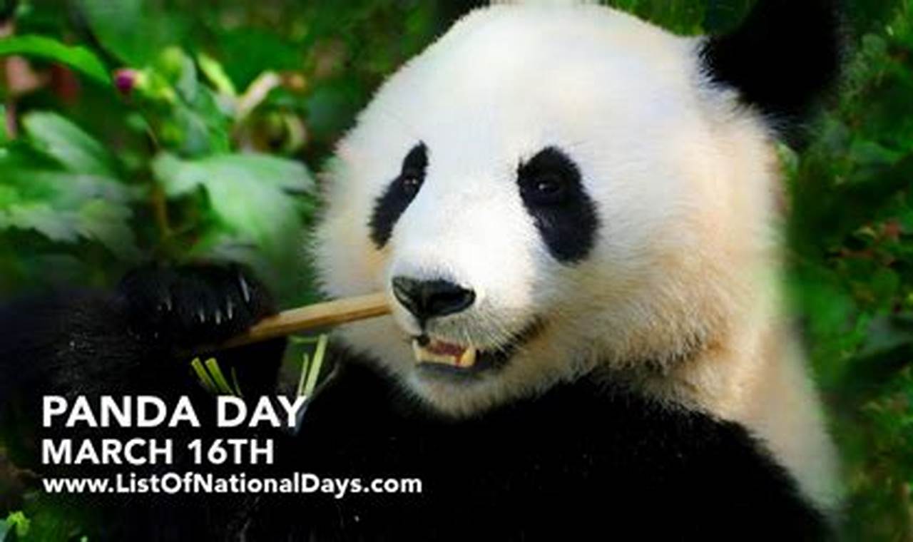 Panda Cares Day 2024 Usa
