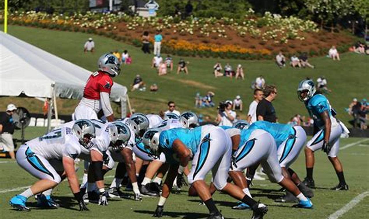 Panthers Training Camp 2024