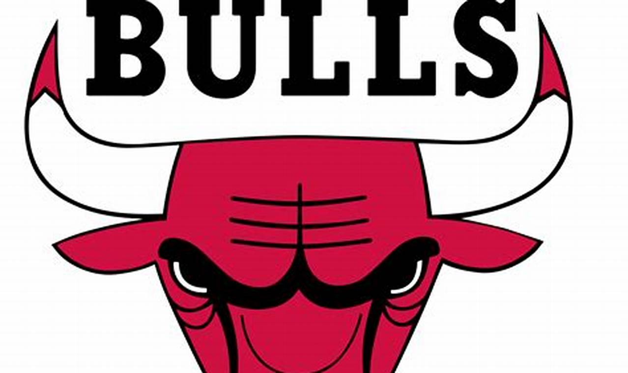 Partidos Chicago Bulls 2024