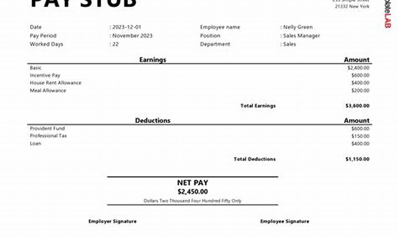 Create a Professional Paycheck Stub Using a Customizable Excel Template