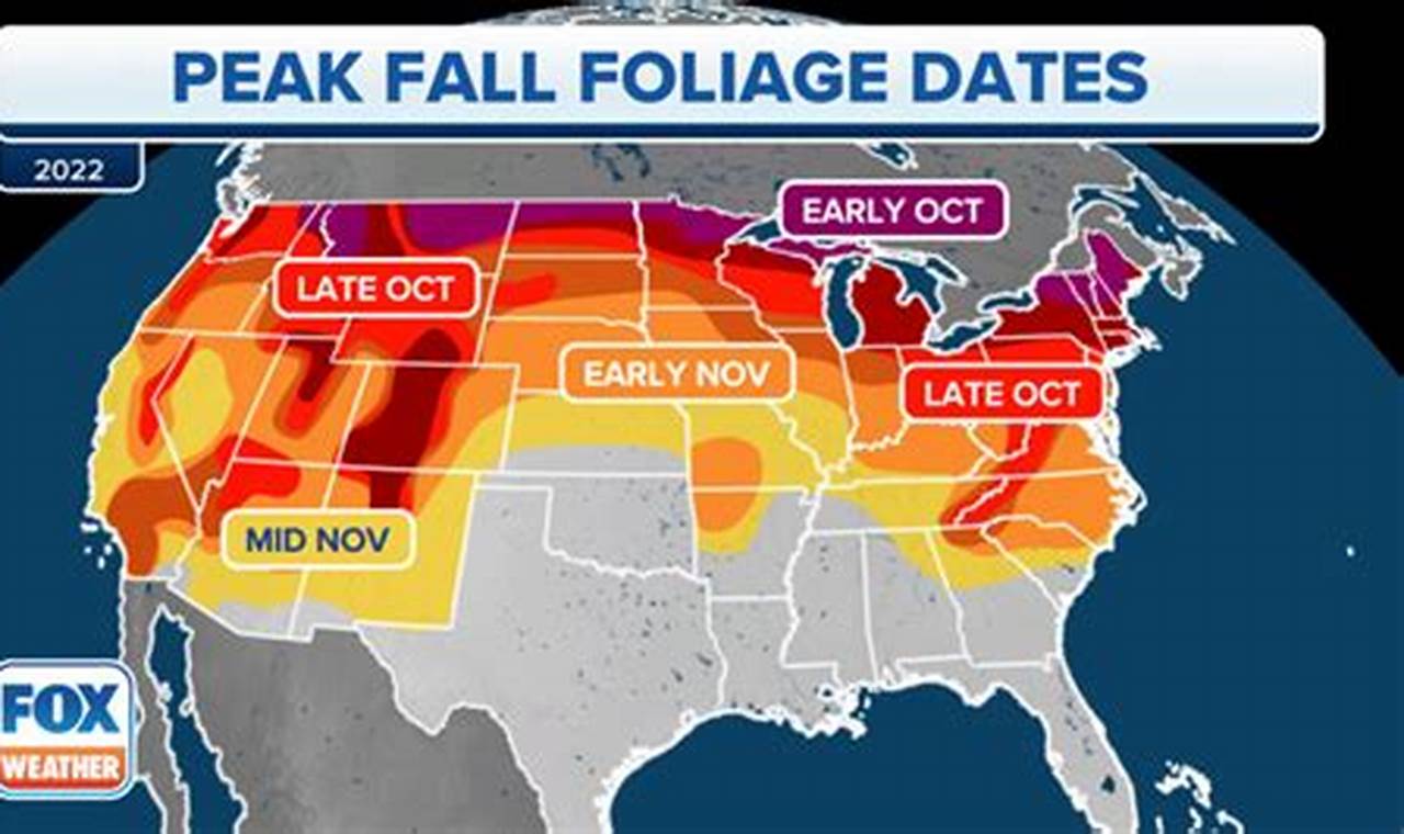 Peak Fall Foliage 2024