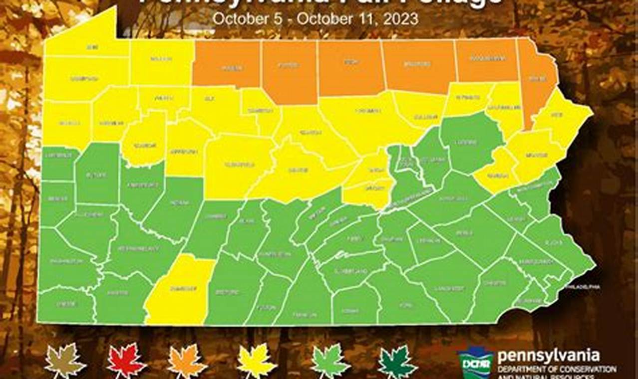 Peak Fall Foliage Pennsylvania 2024