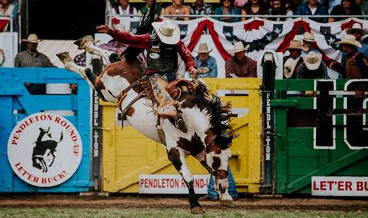 Pendleton Round Up Results 2024 Winners