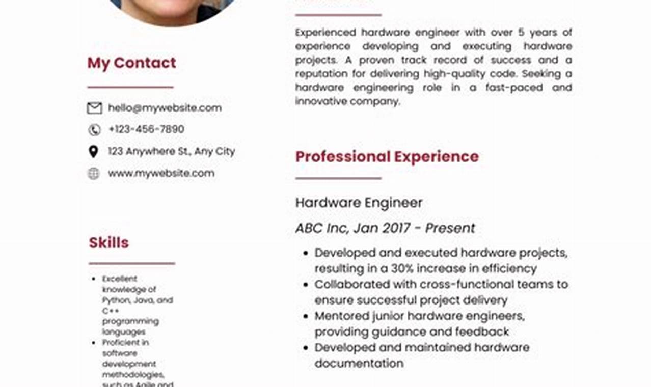 Perfect Resume Examples 2024