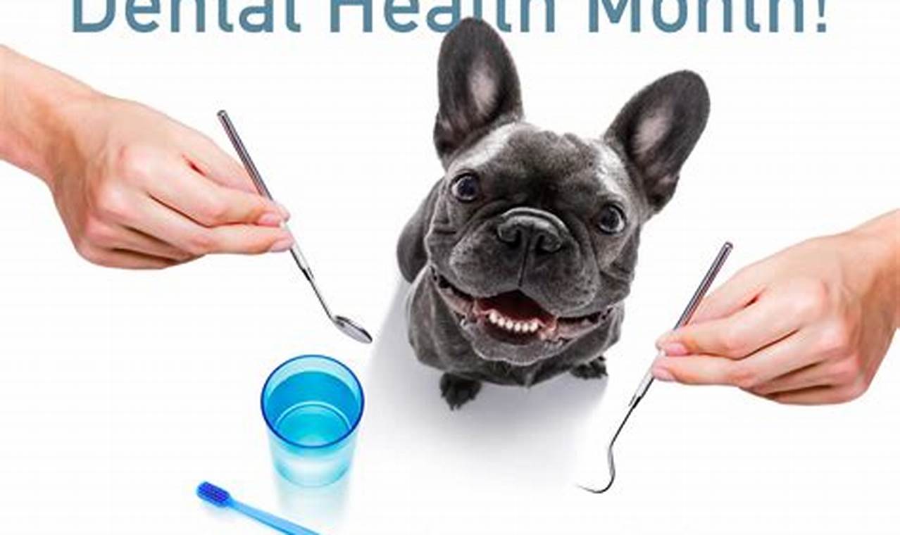 Pet Dental Month 2024