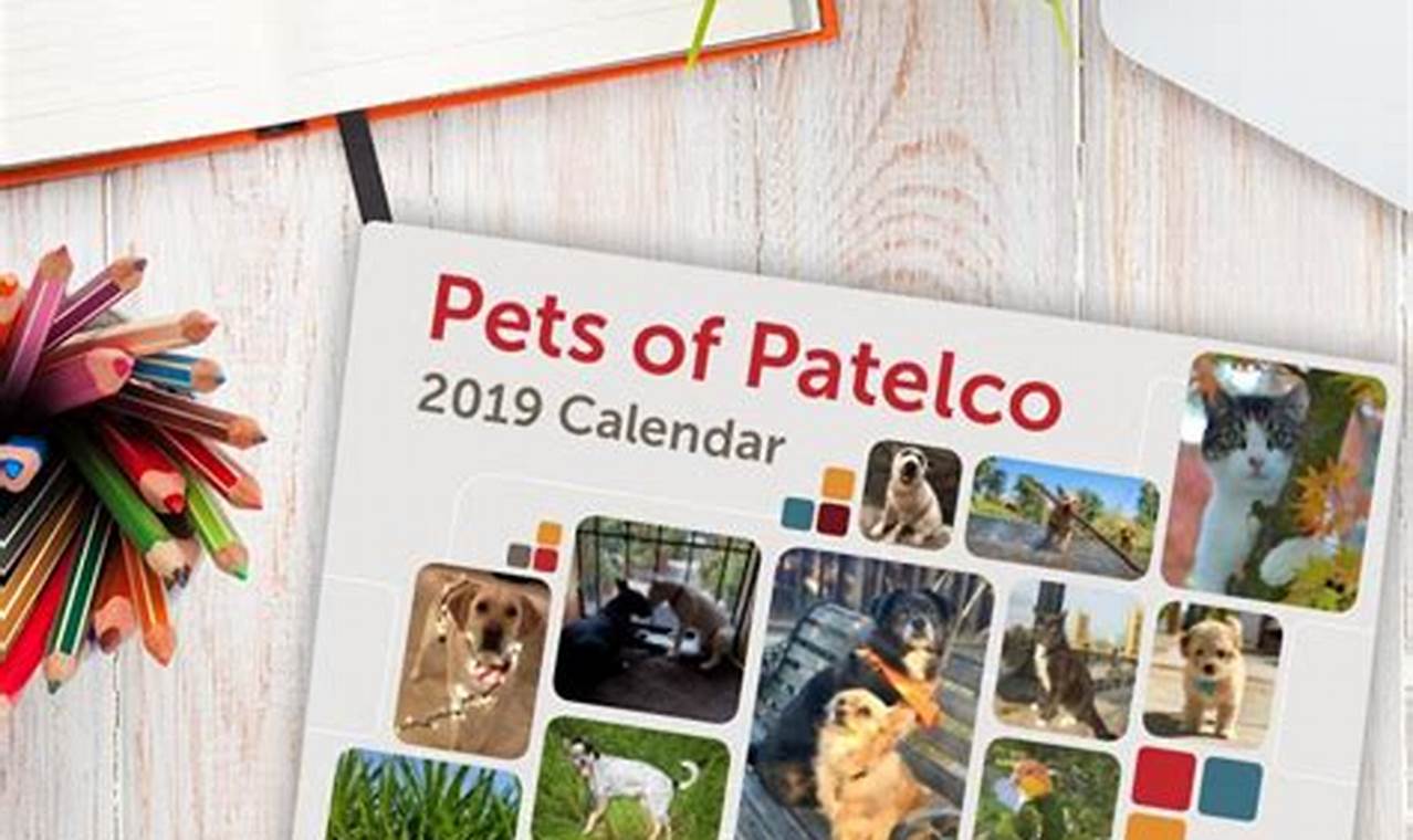 Pets Of Patelco 2024 Calendar Contest