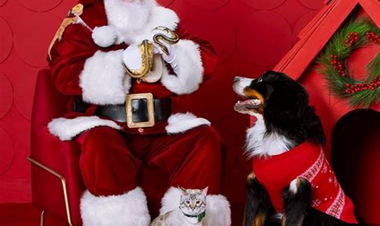 Petsmart Santa Pictures 2024
