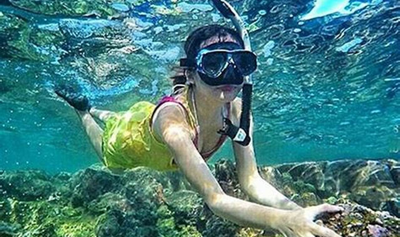 Petualangan Asyik di Bawah Laut: 8 Spot Snorkeling yang Memikat di Sulawesi Tenggara!