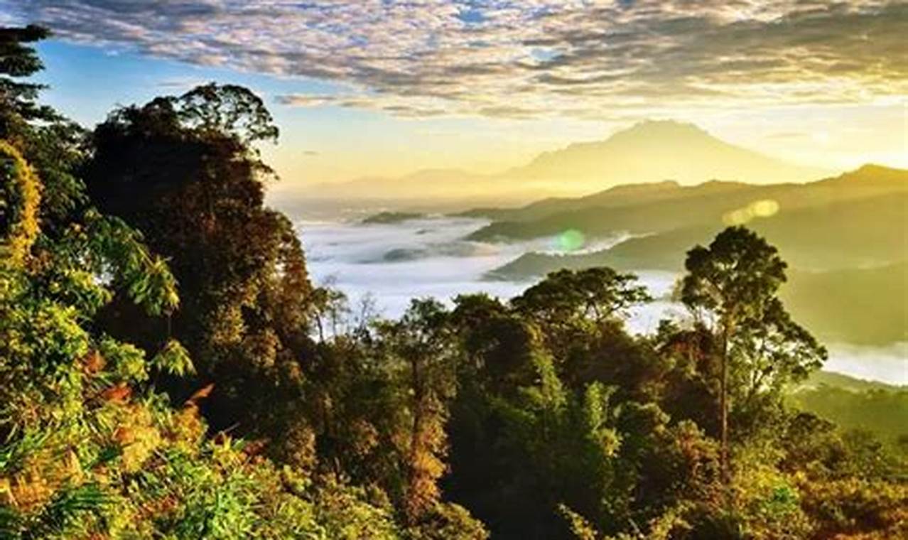 Petualangan Wisata Pegunungan di Asia Tenggara: 10 Destinasi untuk Mendaki Kenyamanan