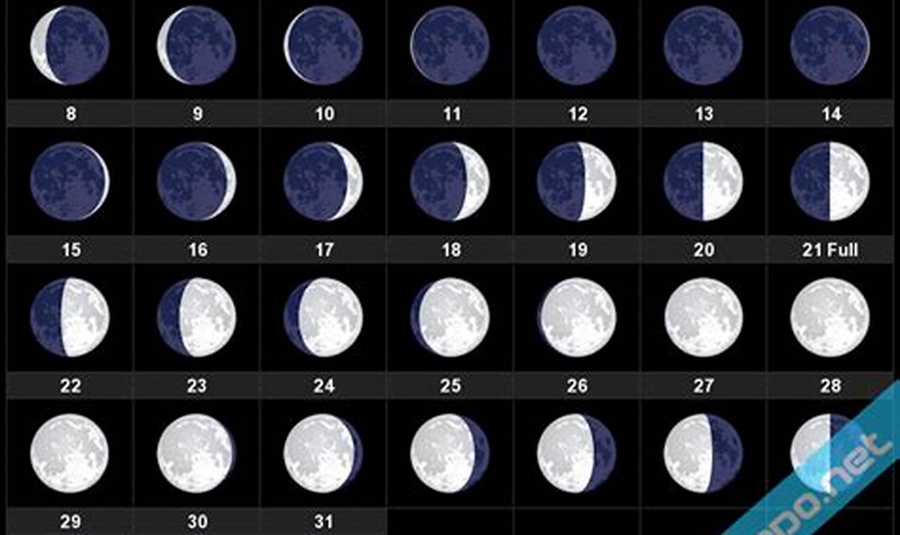 Phases Of The Moon July 2024