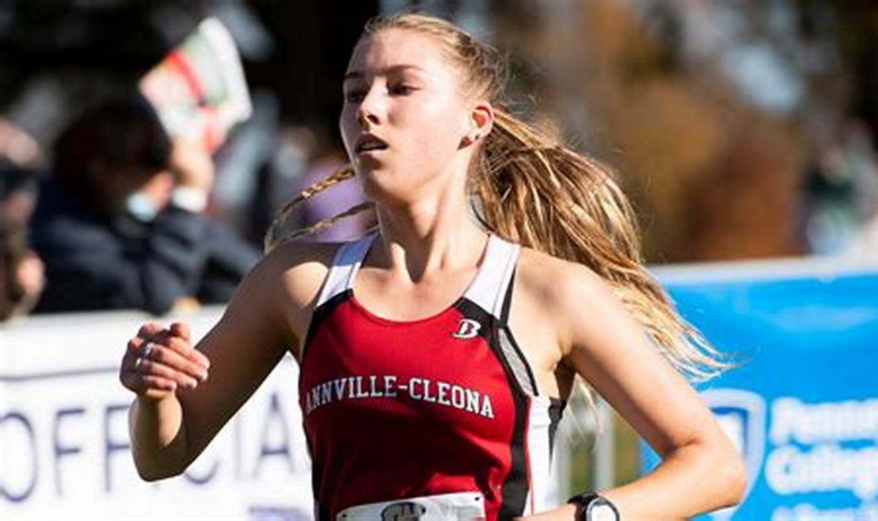 Piaa Cross Country States 2024