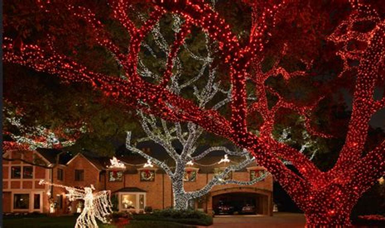 Pin Oak Christmas Lights 2024