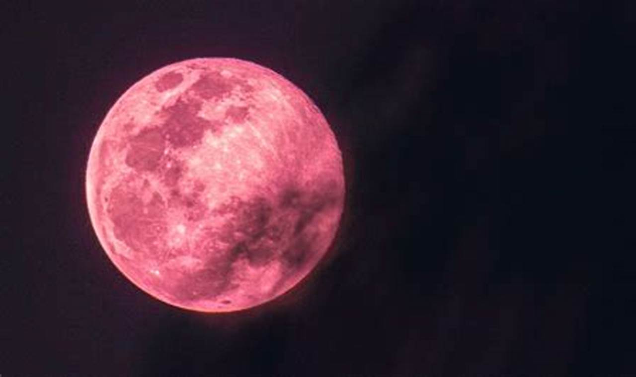 Pink Moon Australia 2024 Lok
