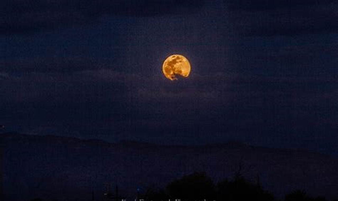 Pink Moon Tucson Az