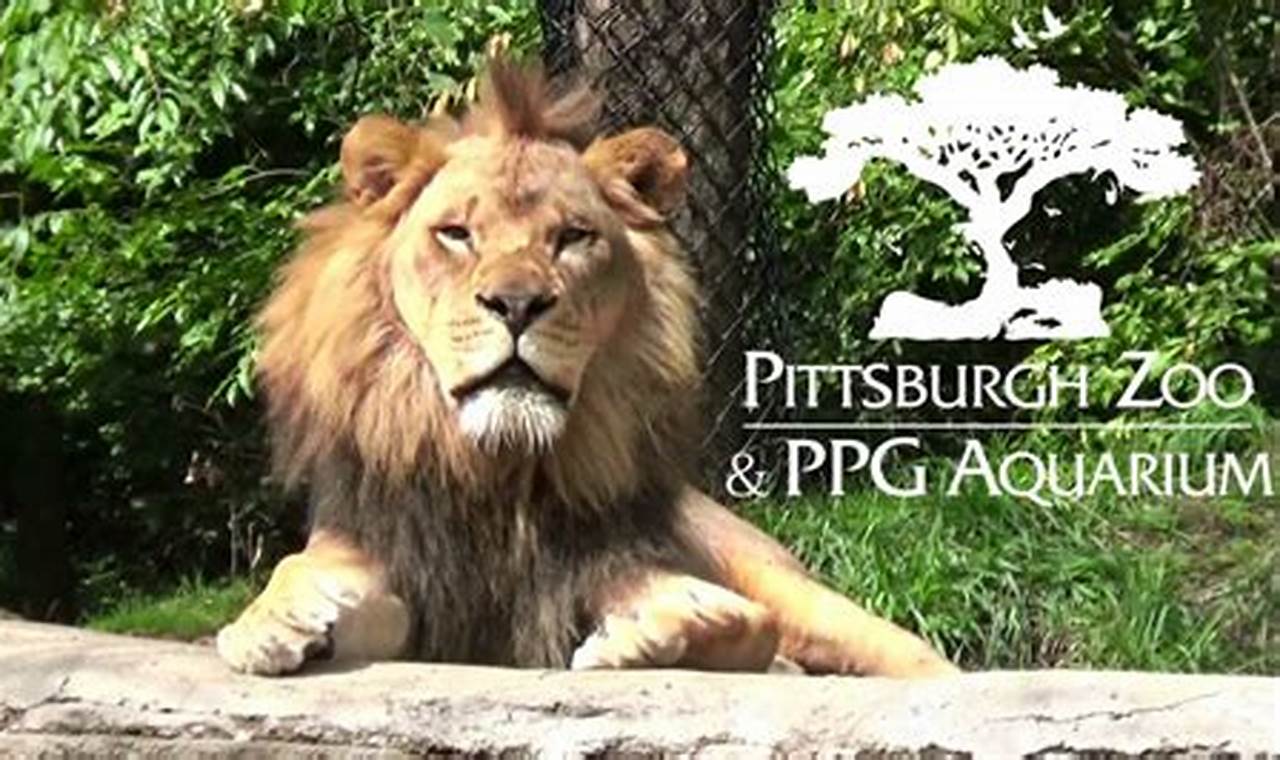 Pittsburgh Zoo Calendar