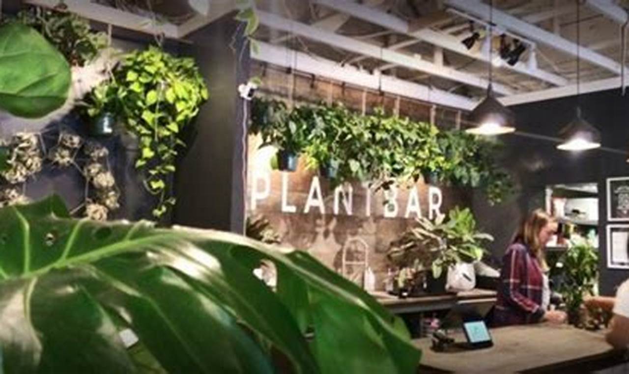 Plant Bar Virginia Beach