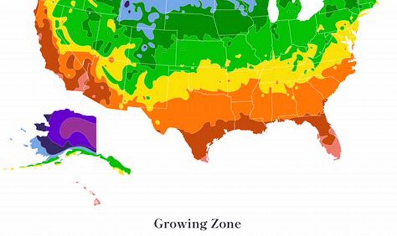 Plant Hardiness Zones 2024