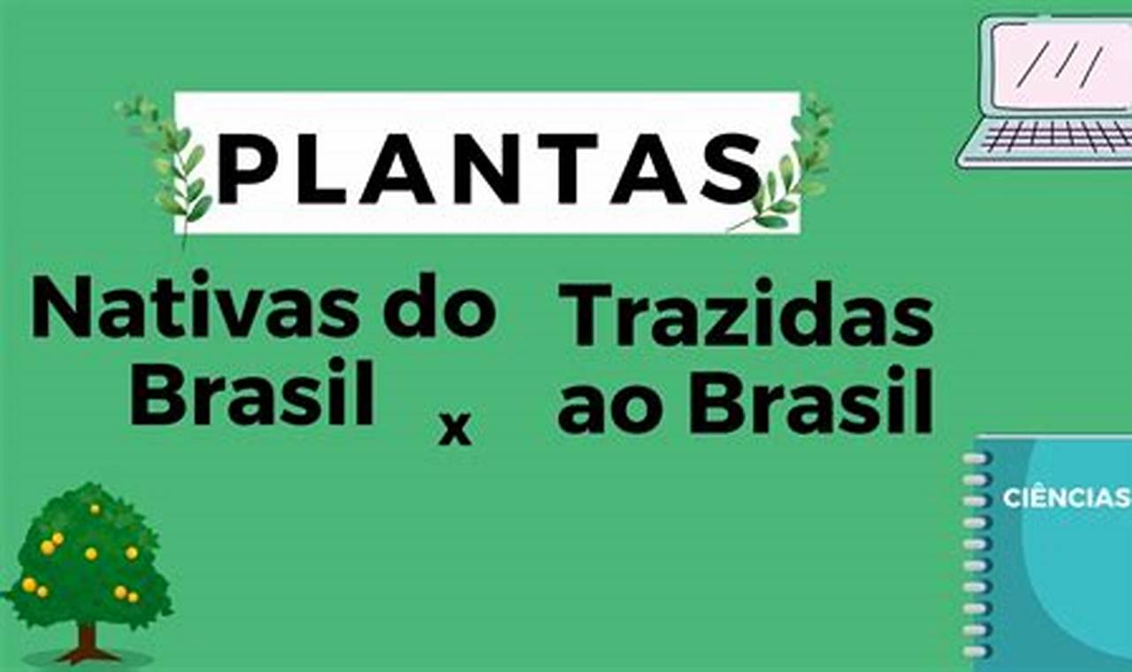 Plantas Trazidas Pelos Escravos Para O Brasil
