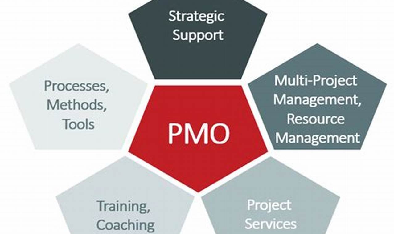 Pmo Roles And Responsibilities In Accenture