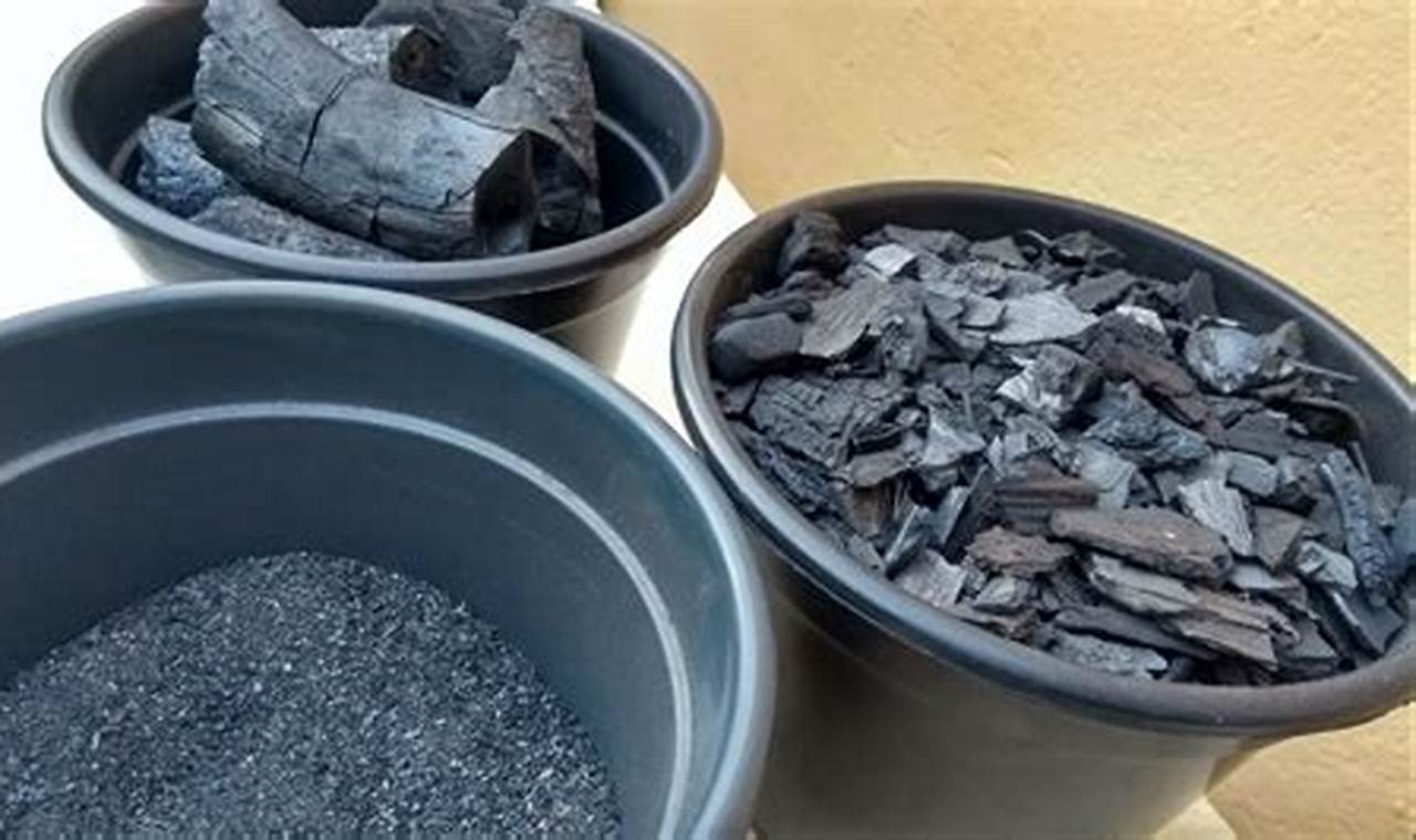 Pode Colocar Cinzas De Carvão Nas Plantas