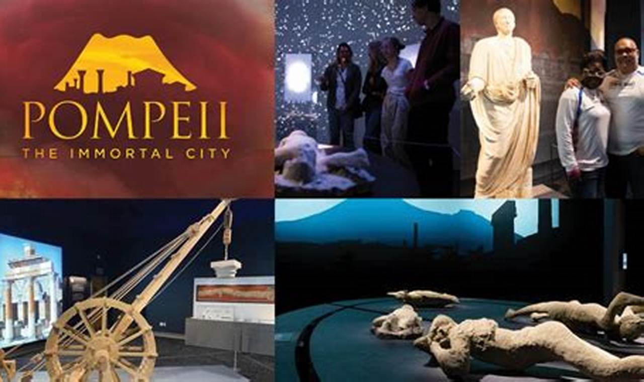 Pompeii The Exhibition Tour Schedule 2024