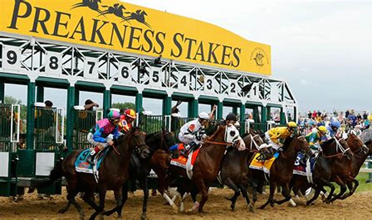 Preakness 2024 Probables