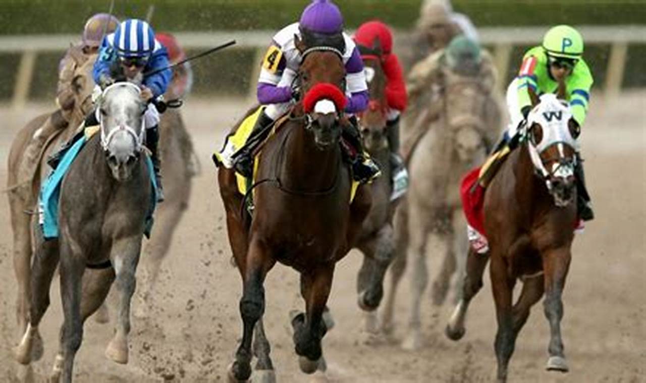 Preakness Stakes 2024 Odds