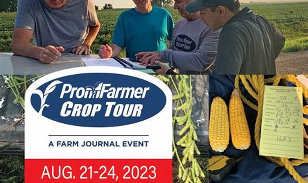 Pro Farmer Crop Tour 2024 Results