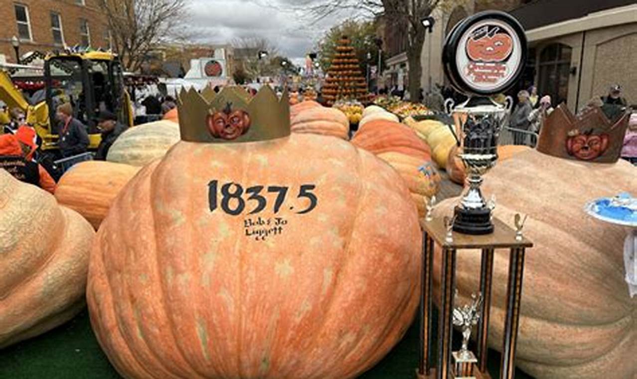 Pumpkin Show 2024