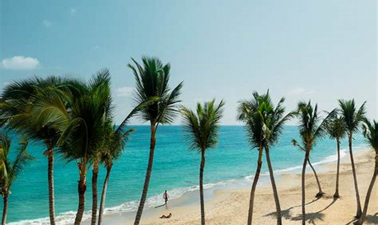 Punta Cana Weather In April 2024