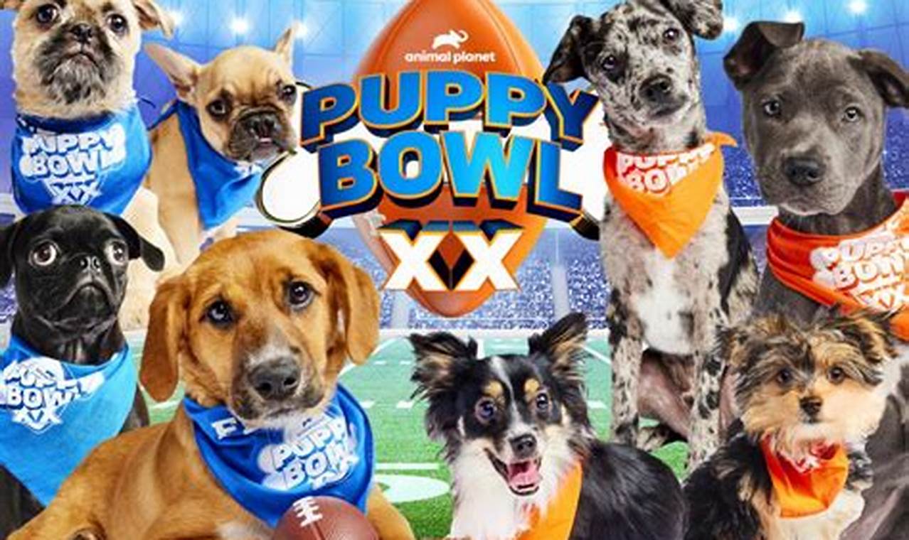 Puppy Bowl 2024 Streaming Free