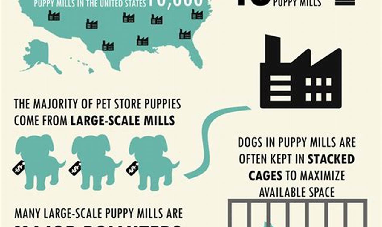 Puppy Mill Statistics 2024
