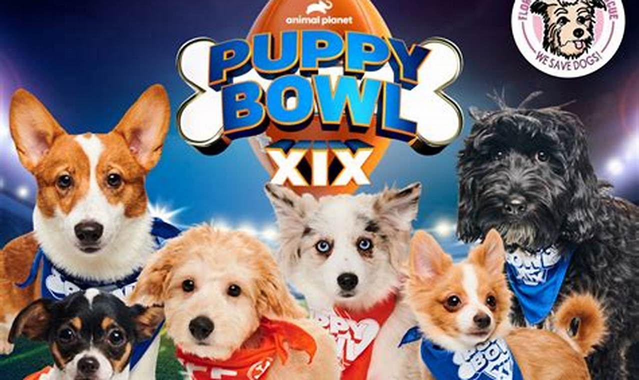 Puppy Super Bowl 2024