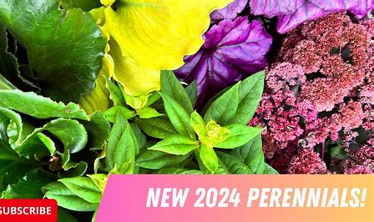 Rare Plant Trends 2024