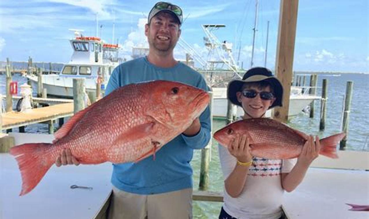 Red Snapper Season Gulf Of Mexico 2024