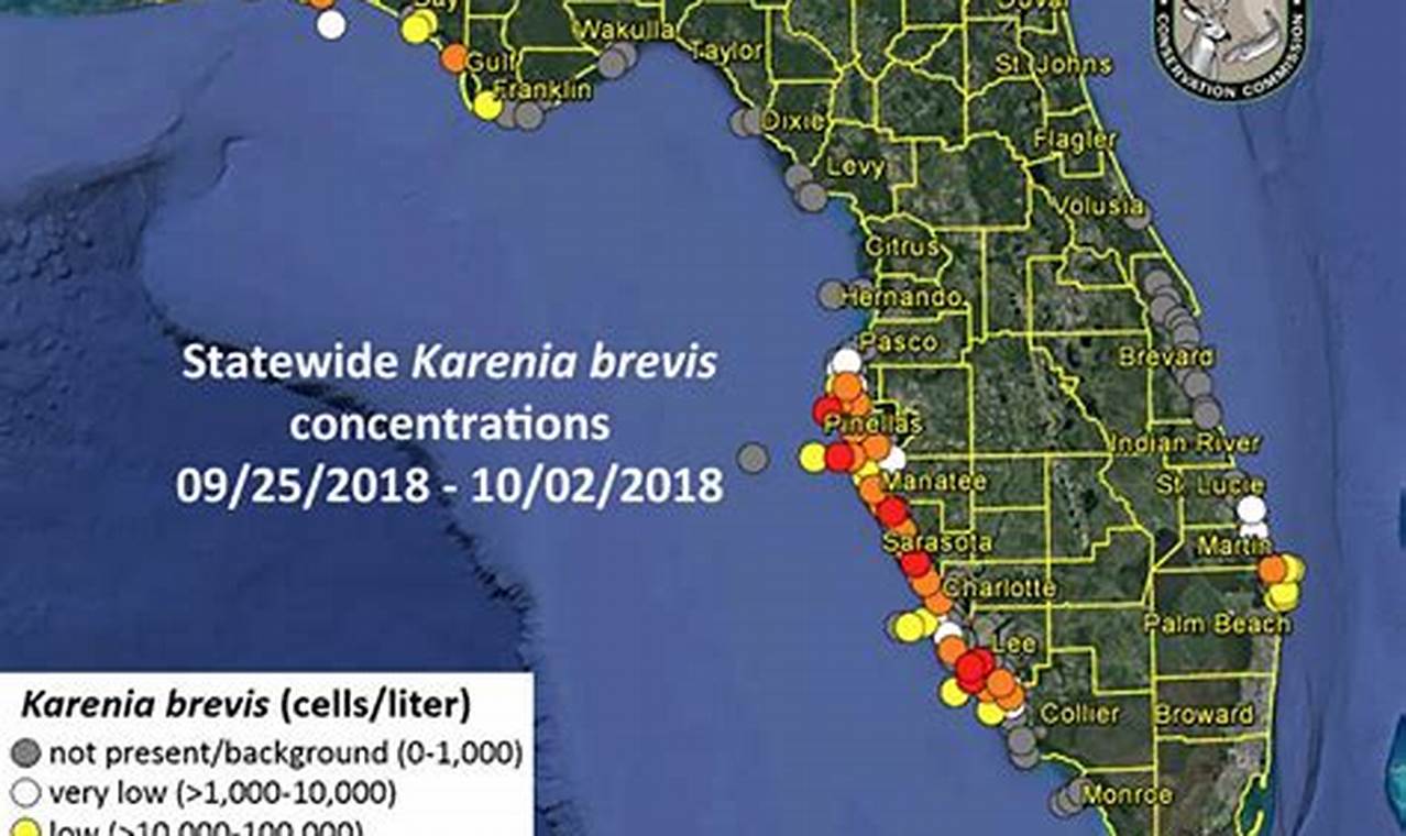 Red Tide Florida Map 2024