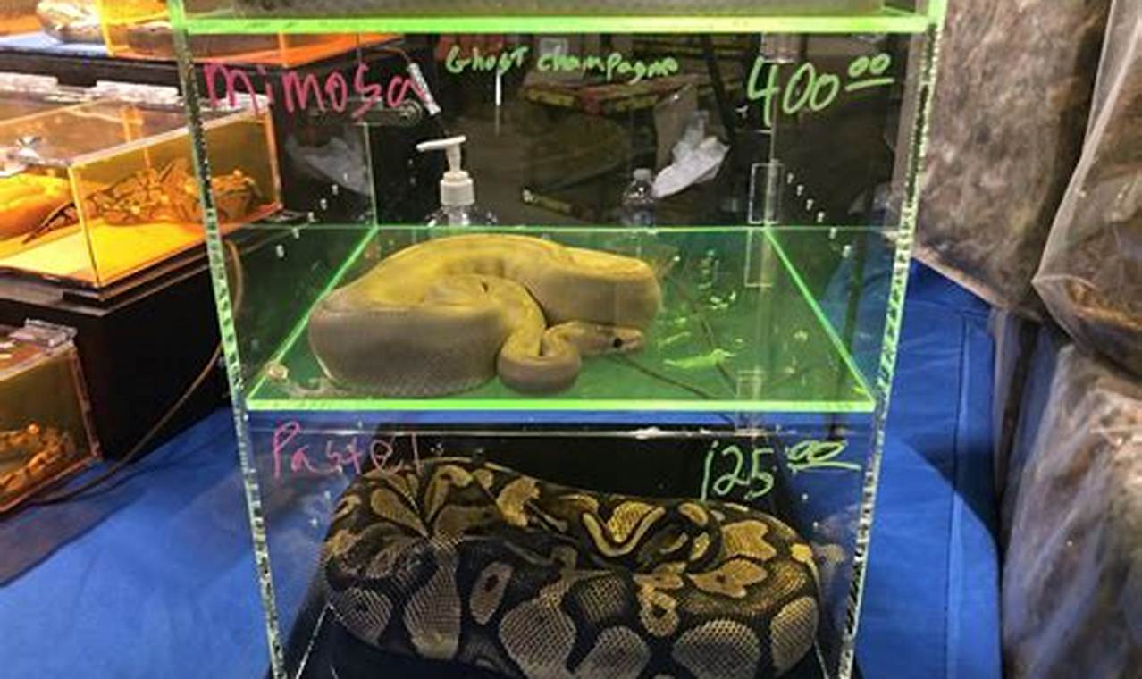 Reptile Expo 2024 Ontario