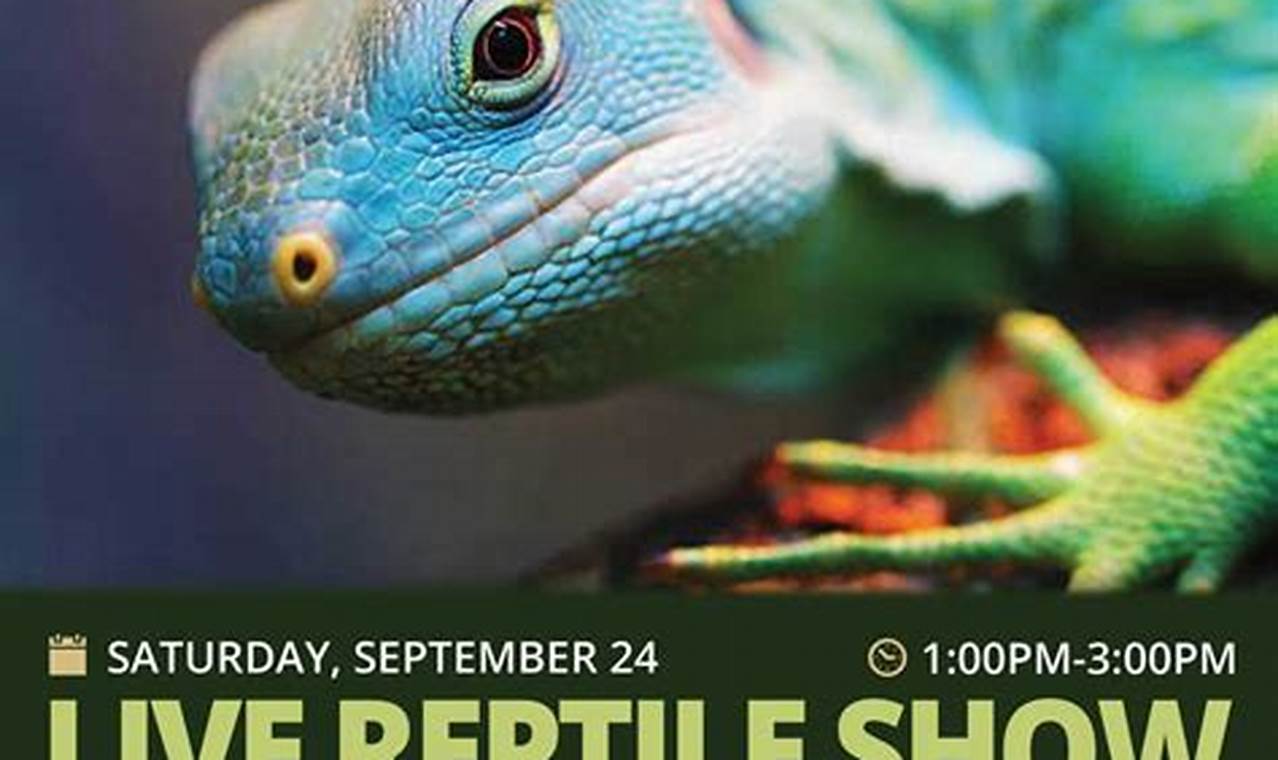 Reptile Expo In Florida 2024