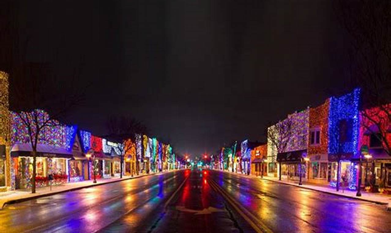 Rochester Hills Lights 2024