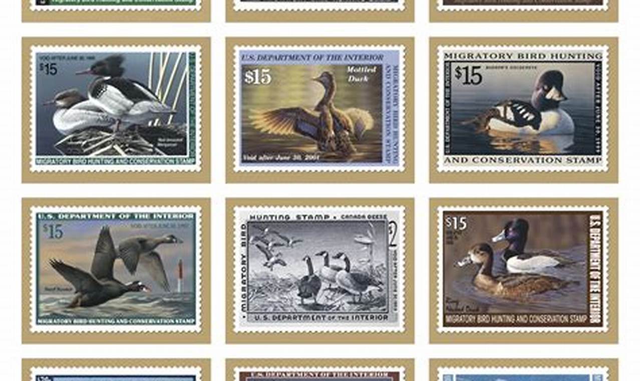 Royal Mail 2024 Stamp Calendar