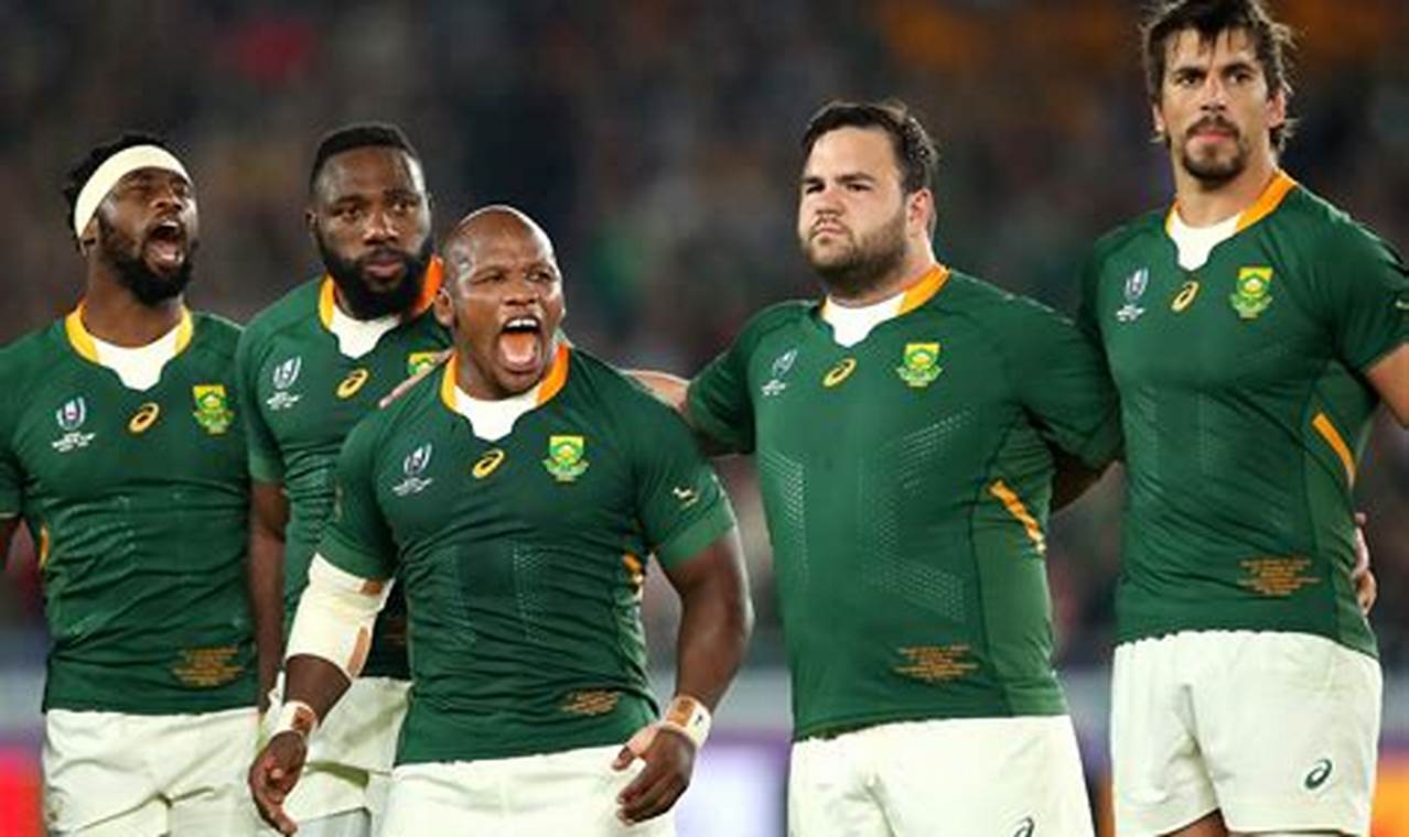 Sa Rugby Squad 2024