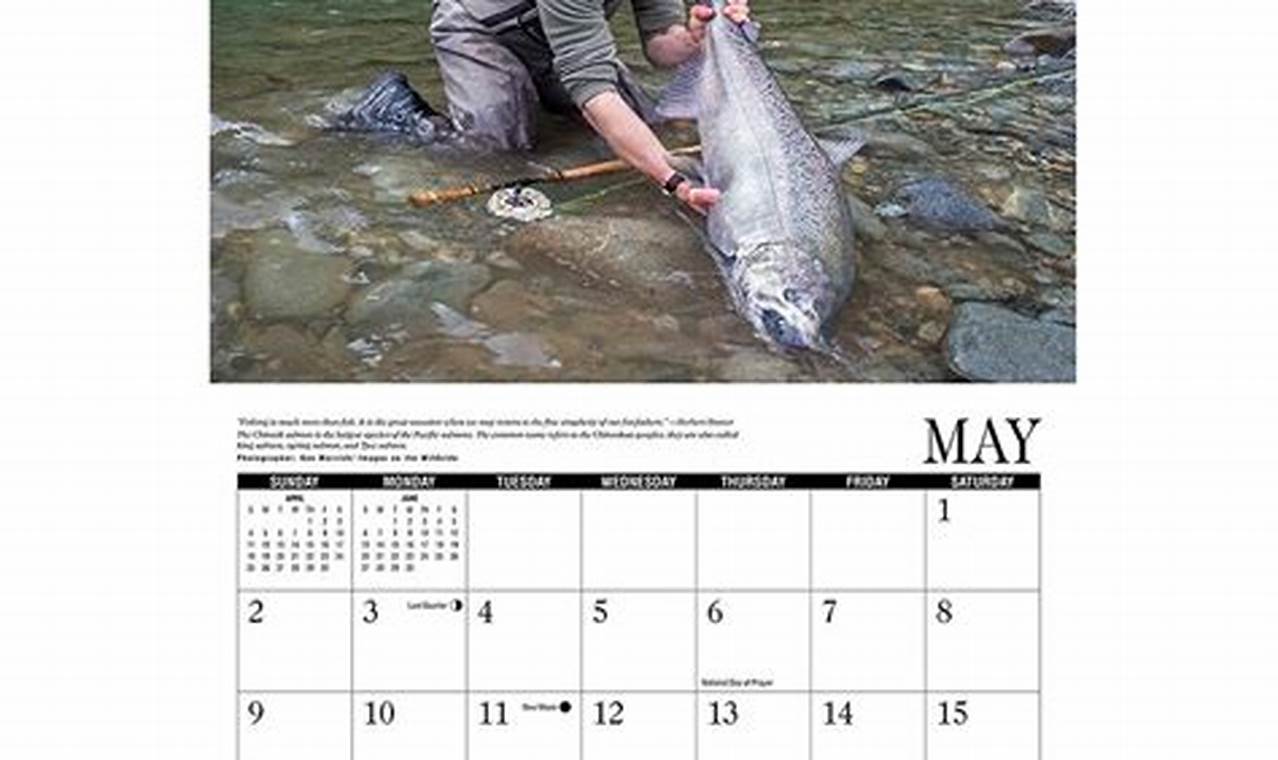 Salmon Fishing Calendar 2024