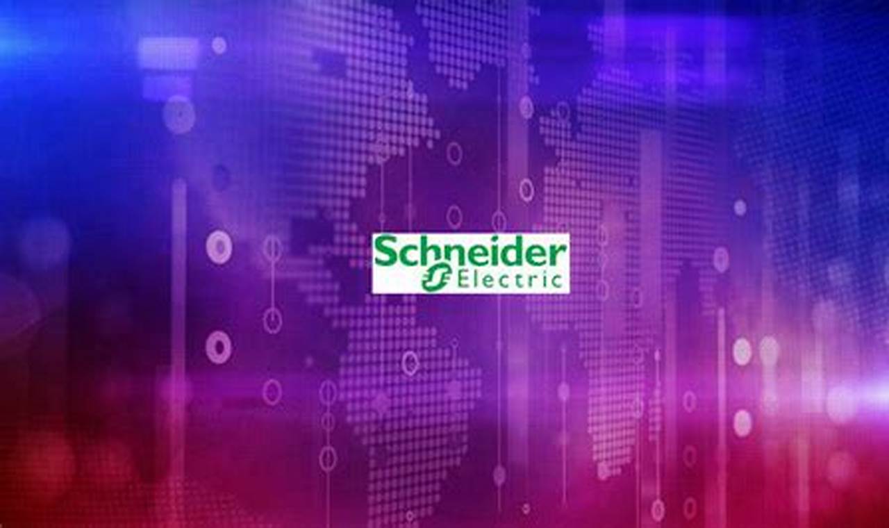 Schneider Electric Net Worth