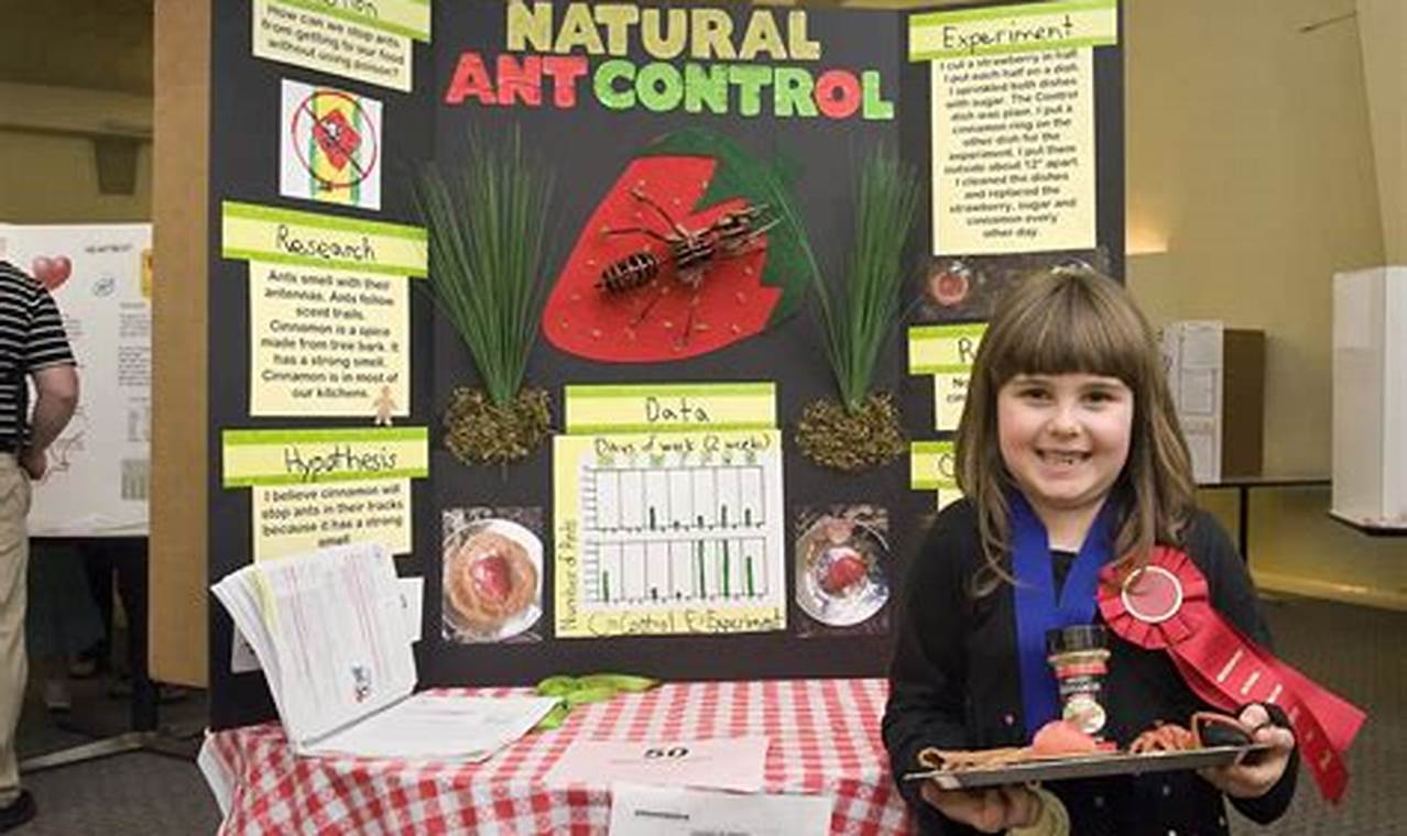 Science And Technology Fair 2024