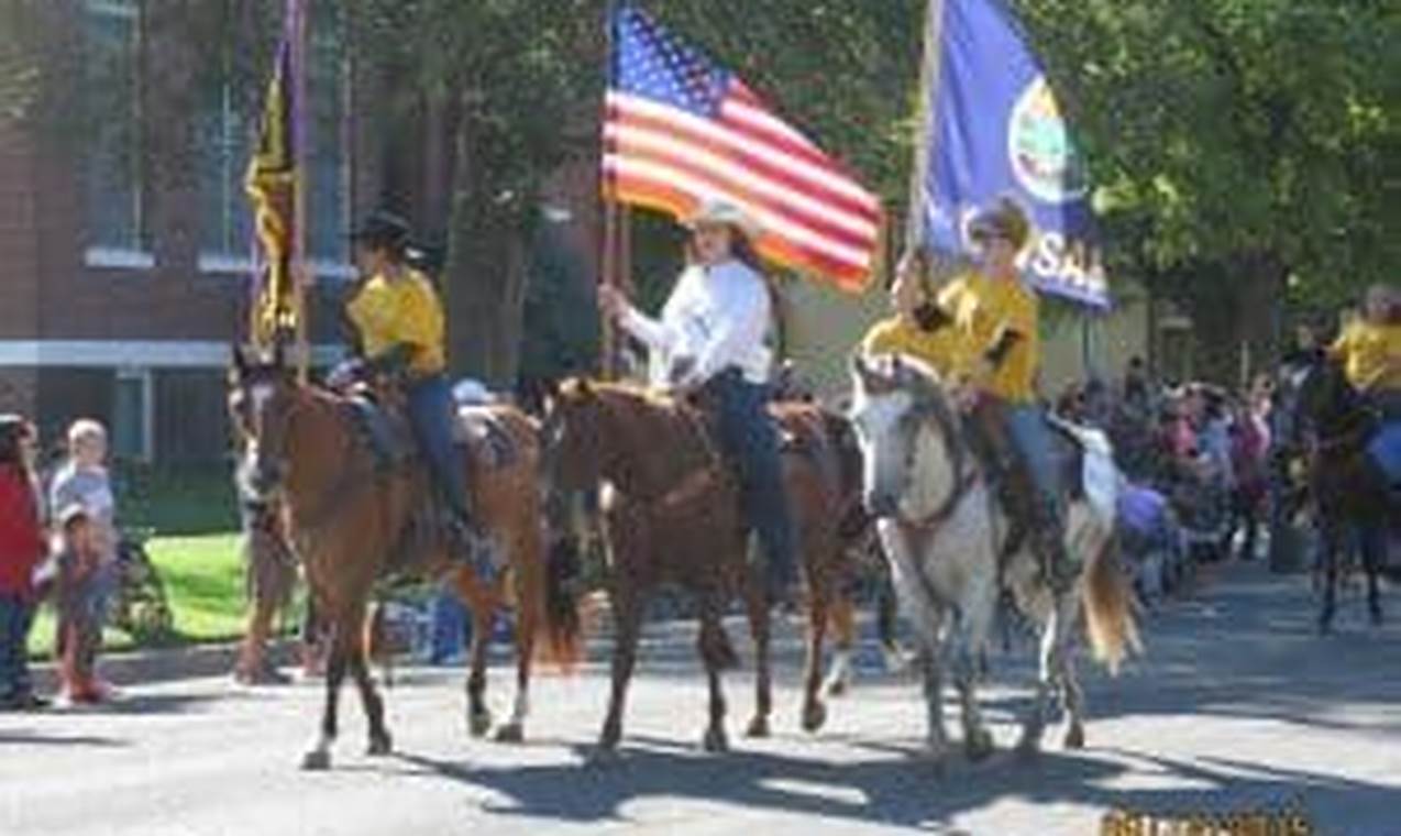 Sedgwick Fall Festival 2024