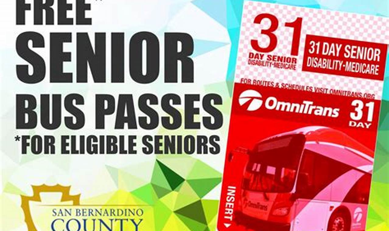Senior Bus Pass Honolulu 2024