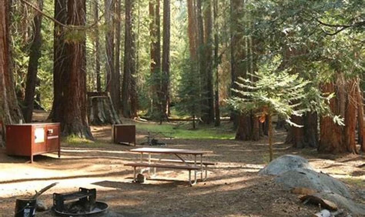 Sequoia National Park Camping Reservations 2024