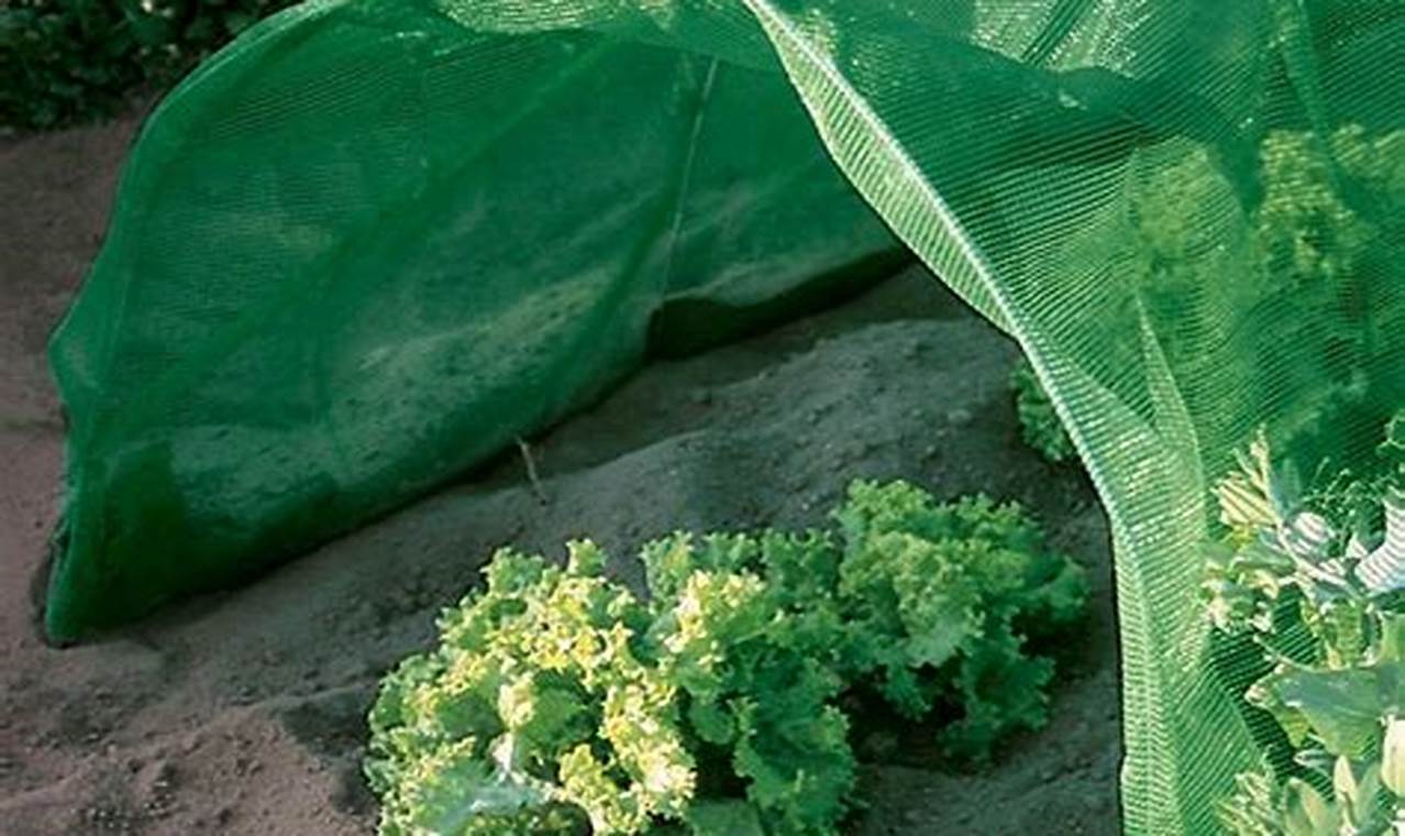 Shade Cloth For Plants