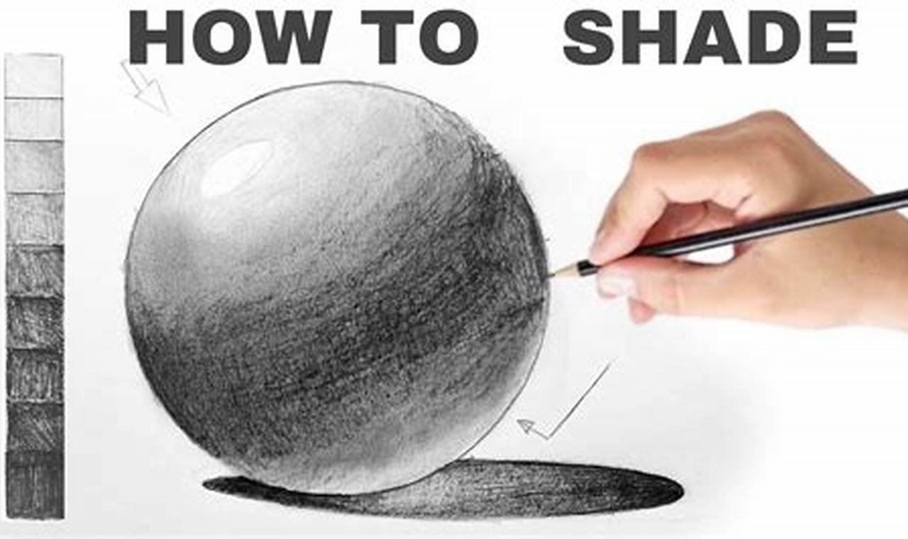 Shading Sketches for Beginners: Mastering the Art of Light and Shadow