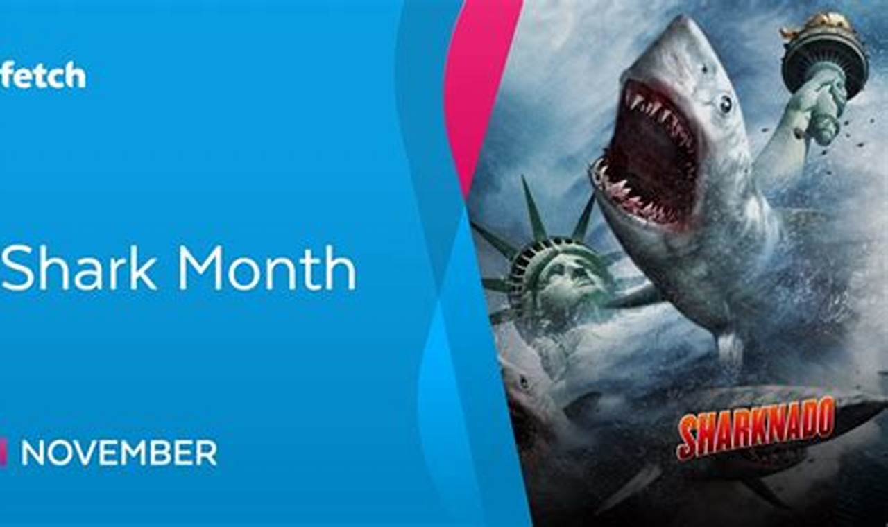 Shark Month 2024
